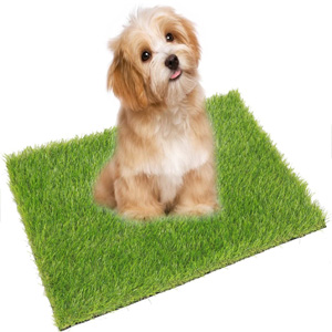 best artificial turf for dogs