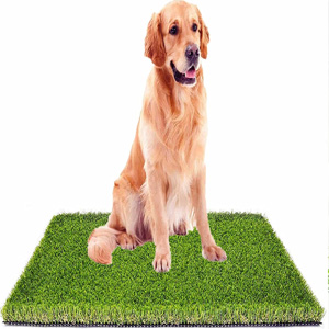 best artificial turf for dogs