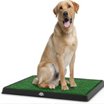 best fake grass for dogs