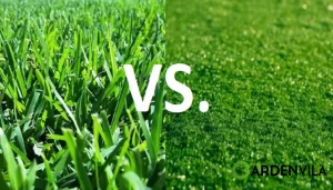 Natural-Grass-VS-Artificial-Grass