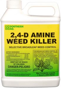 Best weed killers 