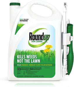 Best weed killers for lawn
