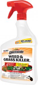 Best Weed Killers for Lawn