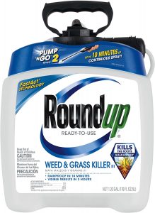 Best Weed Killers for Lawn