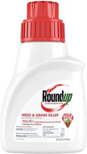 Roundup Concentrate Plus Weed and Grass Killer 