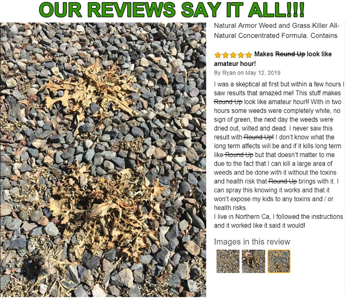 our review about Natural Armor Weed