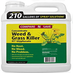 best weed killer for driveways