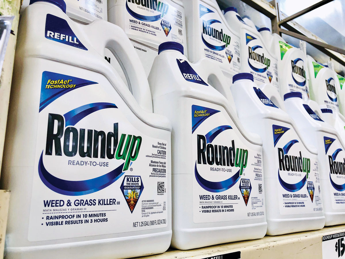 How to Use Roundup Weed Killer