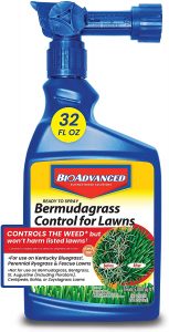 Best Weed Killer For Bermuda Grass