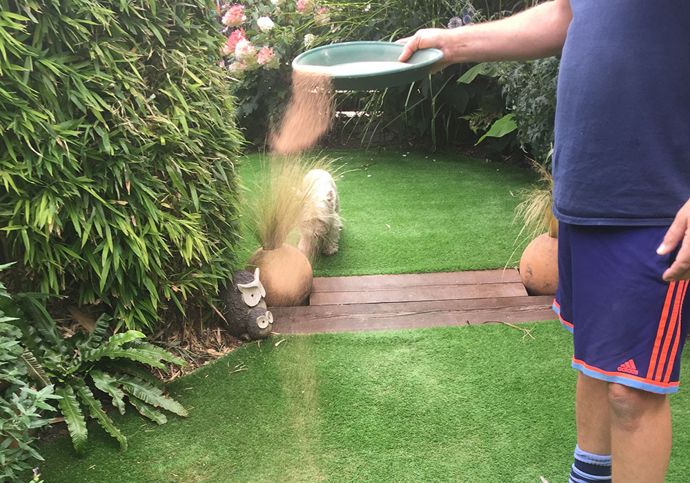 how to clean fake grass from dog urine