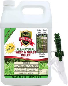 Natural Armor Weed and Grass Killer All-Natural Concentrated Formula