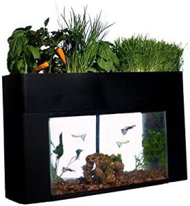AquaSprouts Garden, Self-Sustaining Desktop Aquarium Aquaponics Ecosystem Kit