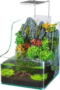 Penn-Plax Presents The AquaTerrium Planting Tank