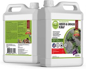 ECO Garden PRO - Organic Vinegar Weed Killer
