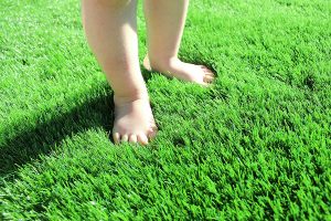 Artificial Grass for Dogs Pee Pads