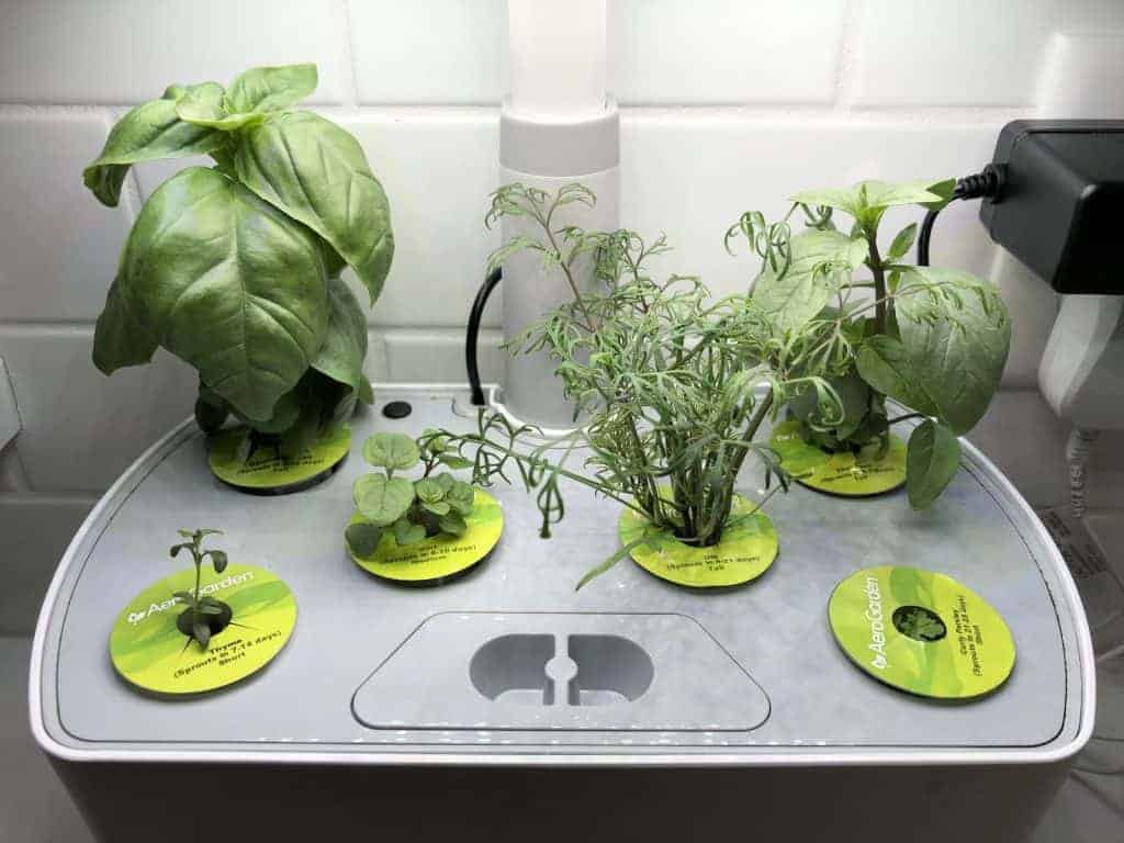 What kind of hydroponic does Aerogarden Use?
